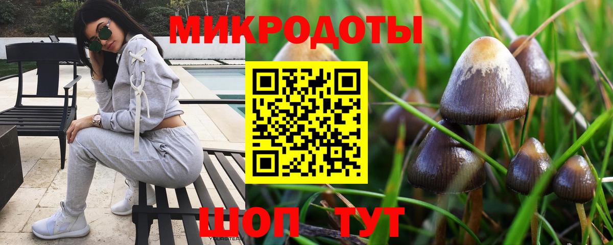 Галлюциногенные грибы Psilocybe Берёзовский